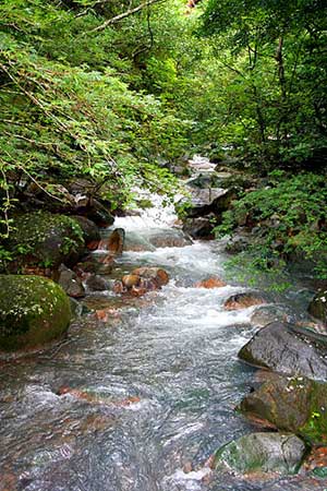 There are many beautiful scenes and thrilling activities in and around the national park where one may view rapids such as these or go tubing on larger streams. 